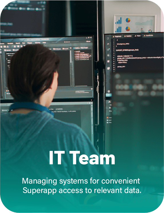 IT Team